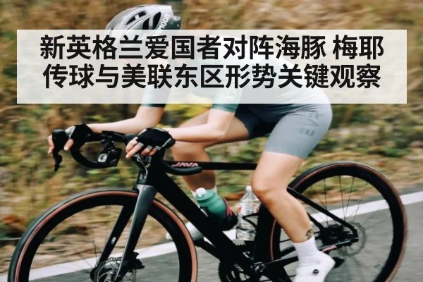 新英格兰爱国者对阵海豚 梅耶传球与美联东区形势关键观察