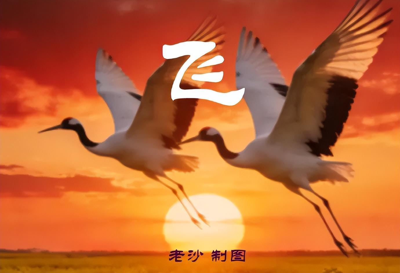 bob半岛体育登录入口-4.28股市早8点丨英伟达疯了谷歌飙了